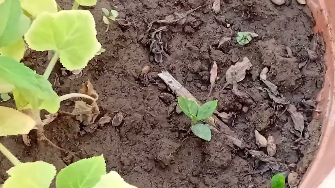 ٩ فبراير ٢٠٢٦