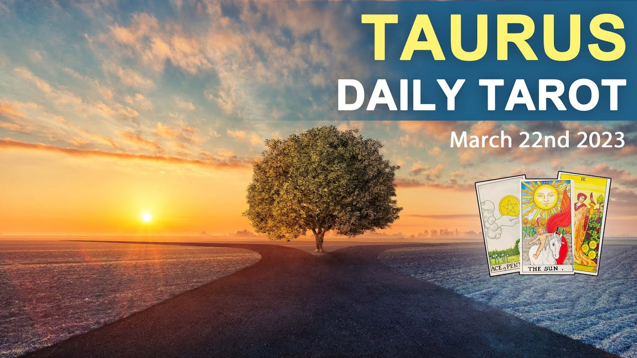TAURUS DAILY TAROT READING 