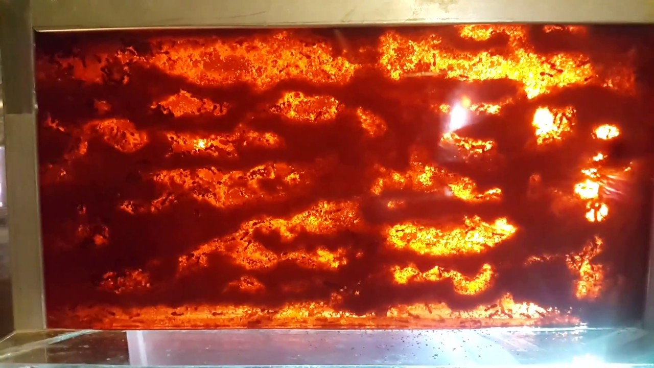 Chthonolasius sp. queen with Lasius niger host