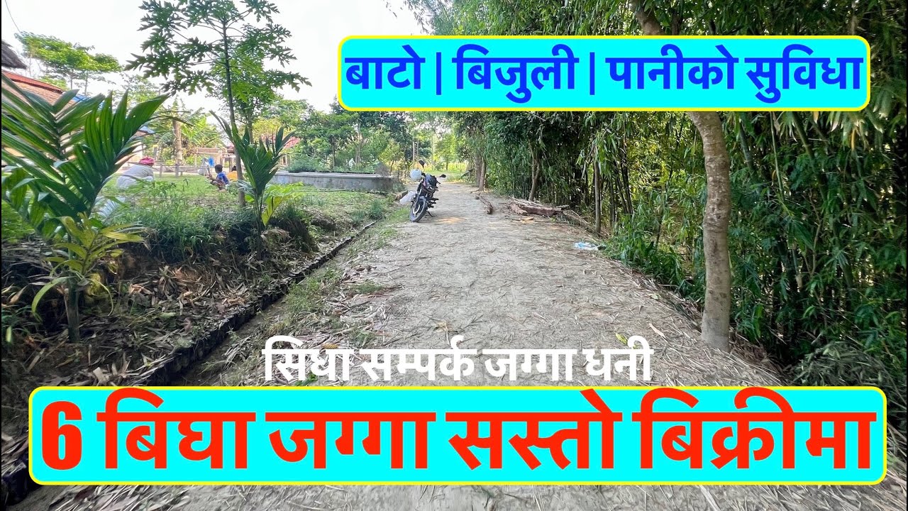 6 Bigga | Nambari jagga| Dherai sasto Bikrima| Cheap| Agriculture land on sale@itahariRealEstate