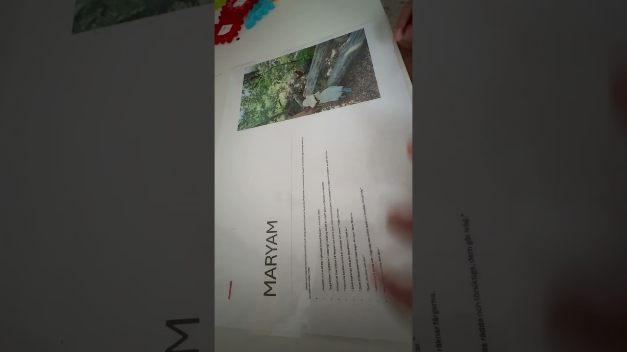 Maryams djurm&ouml;te p&aring; Skansen, sommaren 2024.