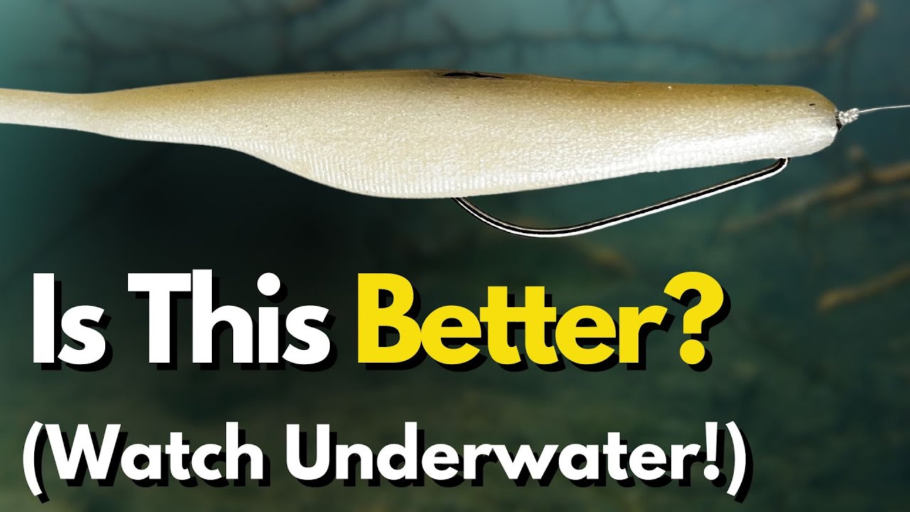 THIS Made a Huge Impact on My Fluke Fishing (Underwater Look)