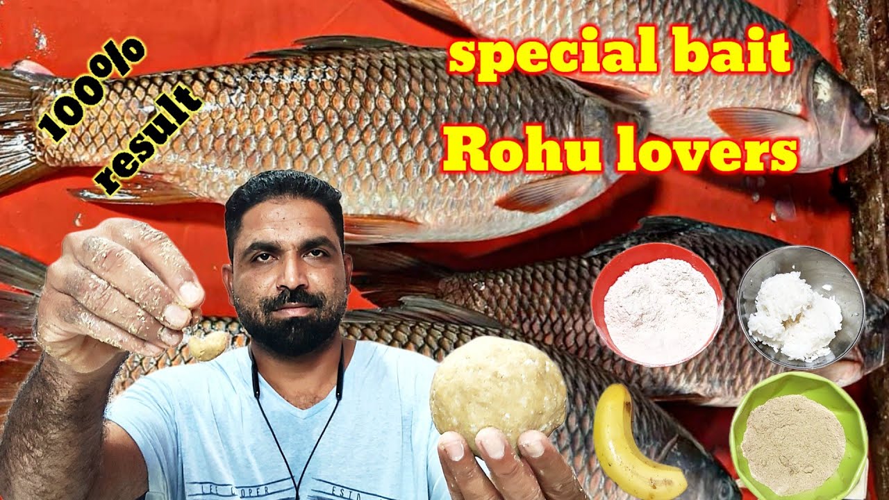 ईस चारे पे रुहु मछलि की मौत,special bait rohu fishing,guchha fishing bait,100% results