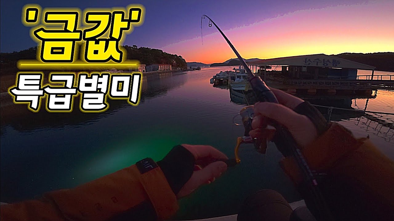 ※비싸서 못먹고 아는 사람만 잡아먹는 귀한 특급 술안주 최고의 별미를 직접잡아 먹어보자! 자급자족 차박여행
