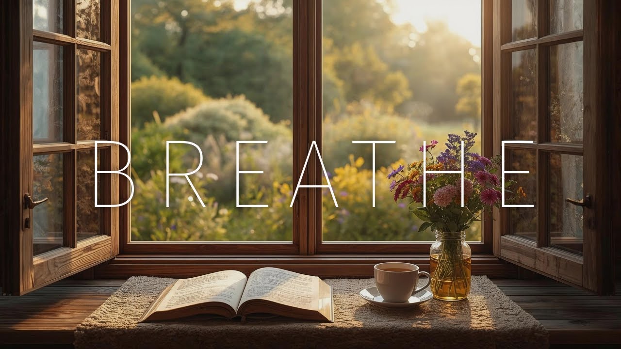Window Light Ambience 🪟 Dark Academia Study Music for Reading, Writing & Deep Focus 3 Hours