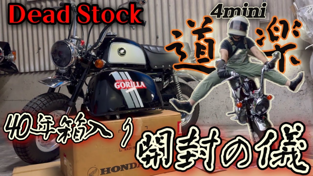 時すでに遅し！止まらない4ミニカスタム！！4ミニ初心者がホンダの小さな原付バイク【ゴリラ】に魅了されカスタム沼落ちする動画。z50j ホンダモンキー　ホンダゴリラ