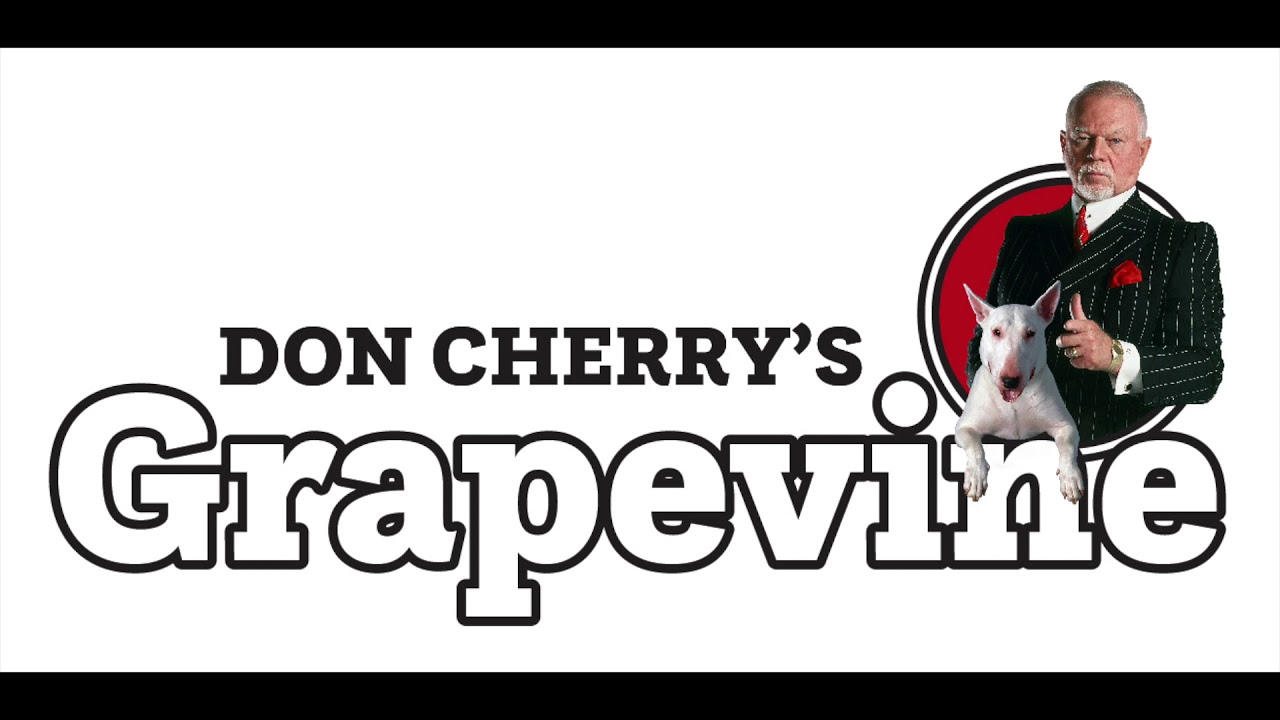 Crowder Vs  Probert Fight, Julien and Muller being Fired, Bobby Schmautz, NHL News, Stories and More