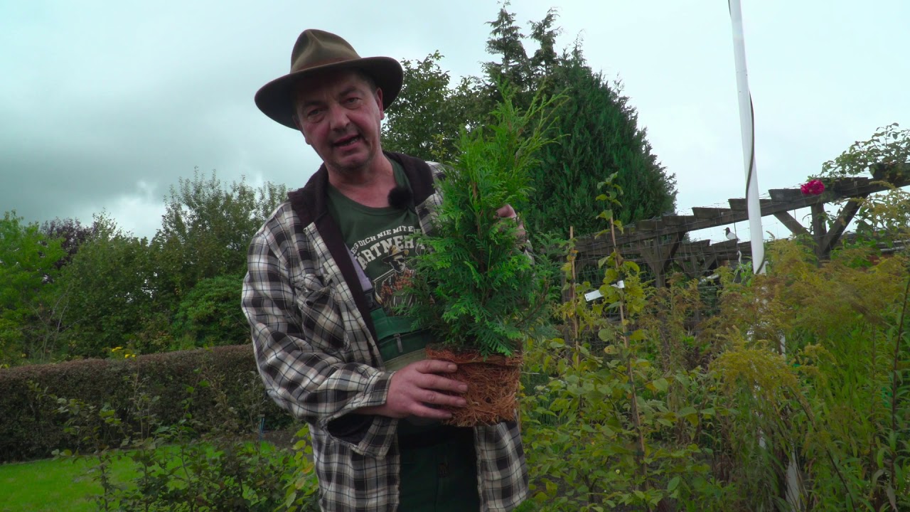 Pflanzanleitung für die 