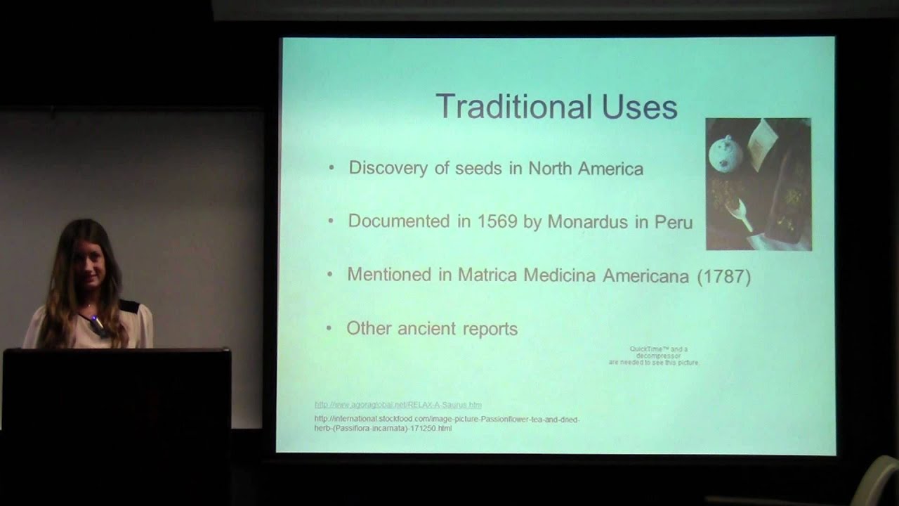 Passiflora incarnata (Purple Passionflower)