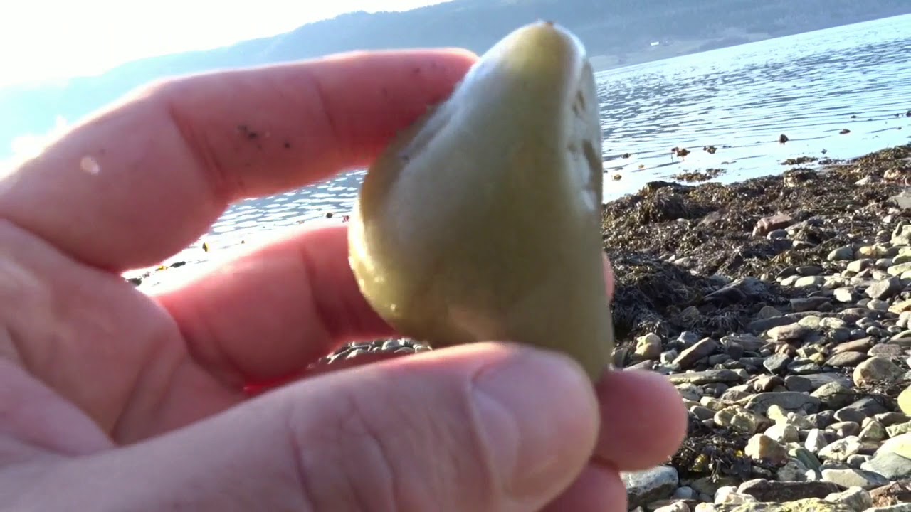 250 - معلومات مهمة لهواة البحث عن الاحجار الكريمة على شاطيئ غني باحجار البيريل الأخضر والتورمالين