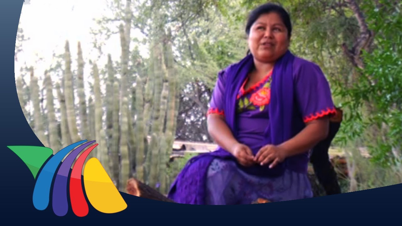 Realidad de las mujeres indígenas de México