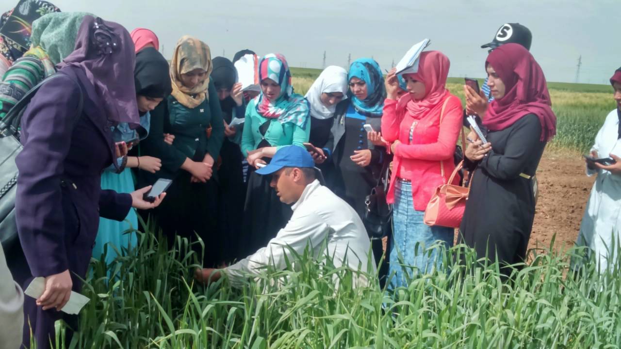 Présentation de La Ferme de Démonstration et de Production de Semences (FDPS) Sétif