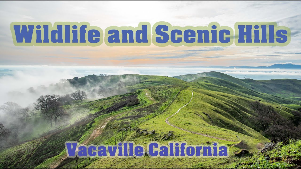 Wildlife Scenic Hills