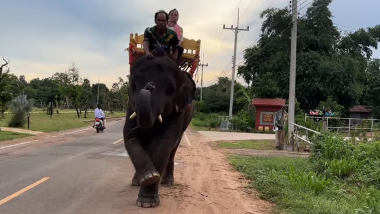 น้องดาวให้   พระอรหันอยู่ในบ้านขึ้น‼️่หลังน้องดาว
