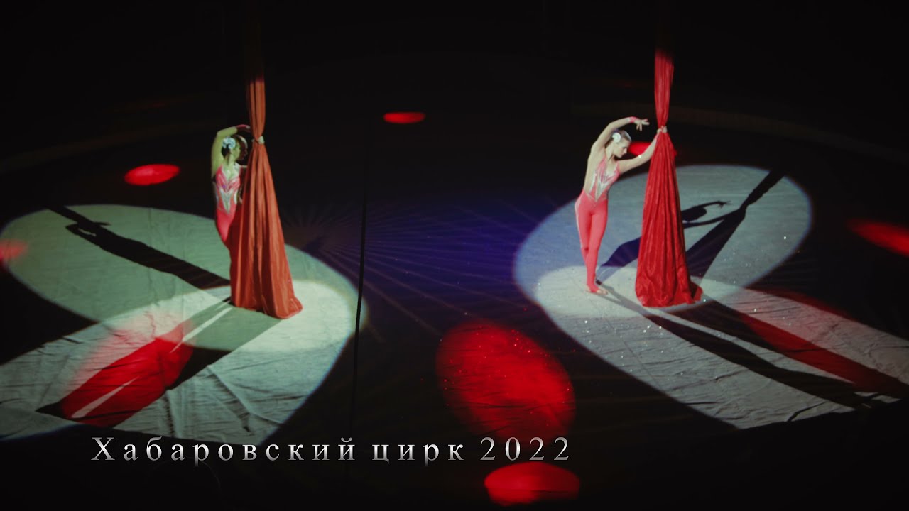 Хабаровский цирк 2022  Полотна