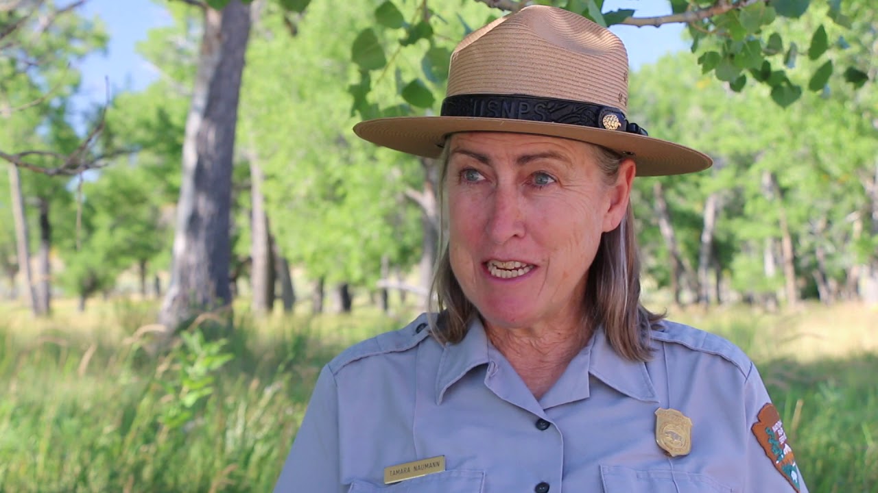 Leafy Spurge - A Call to Action