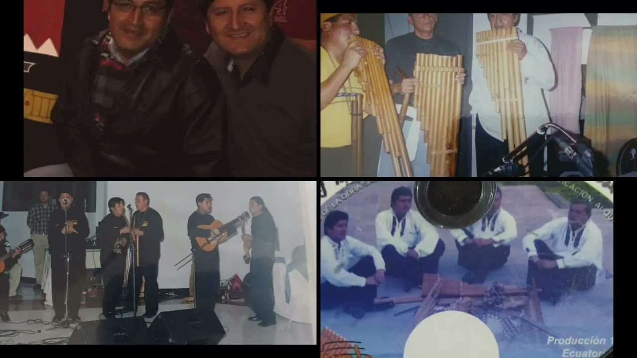 5  Pituko   LLamarada