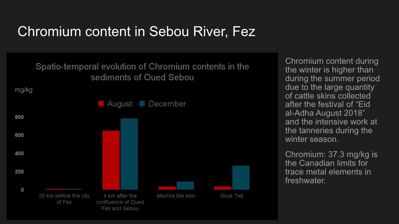 Environmental crisis from Tannery effluent in Fez Morocco