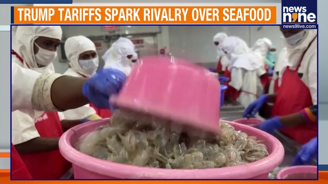 Trump’s Tariffs Threaten India’s Shrimp Export Boom as Ecuador Eyes U.S. Market Opportunity | News9