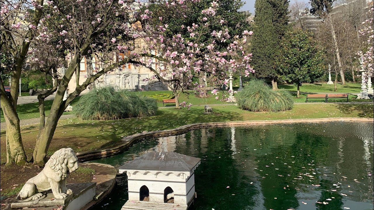 Липовый дворец Магнолия Время 🌸 На каком общественном транспорте мы можем поехать ?