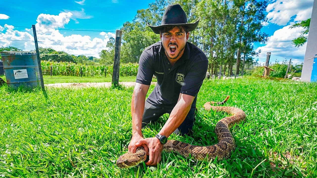ACHAMOS MAIS UMA CASCAVEL DENTRO DA FAZENDA  😧