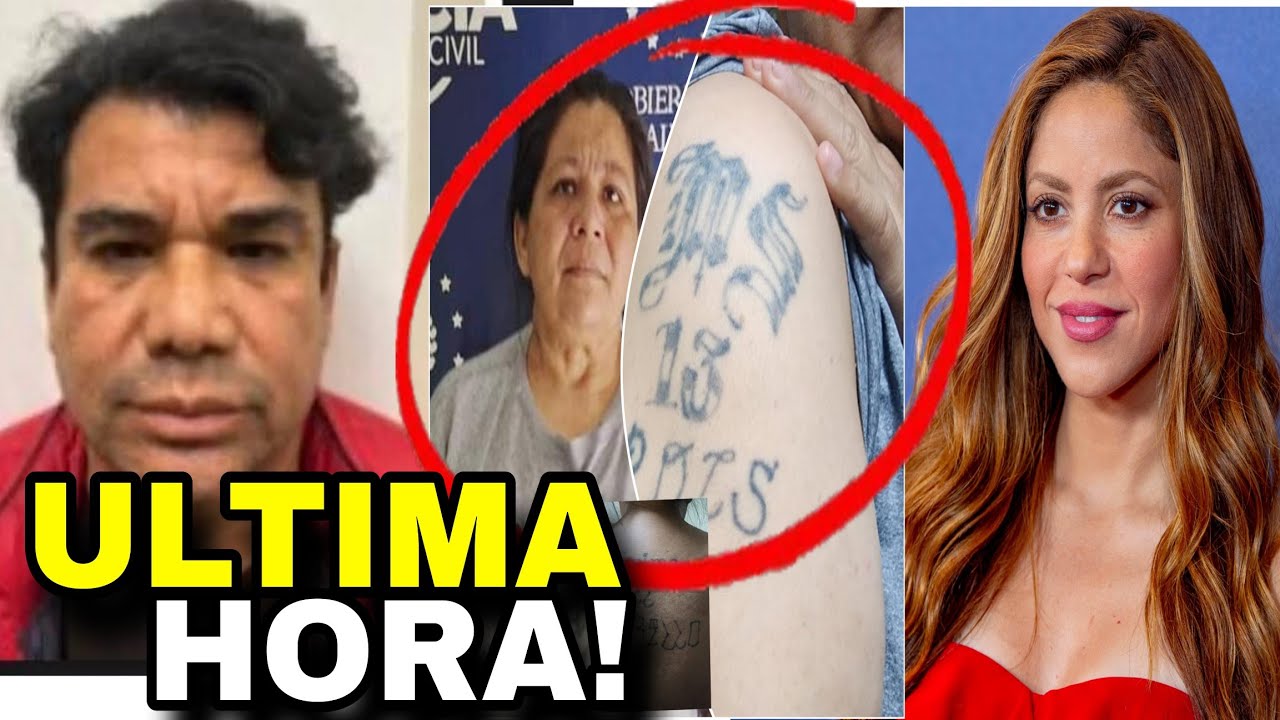 TERMINO VERGUEADOR 