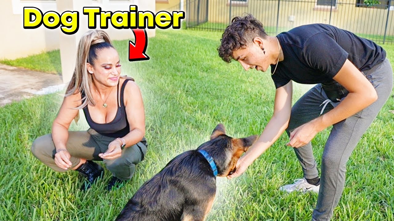 I Hired a PROFESSIONAL TRAINER For My Dog!