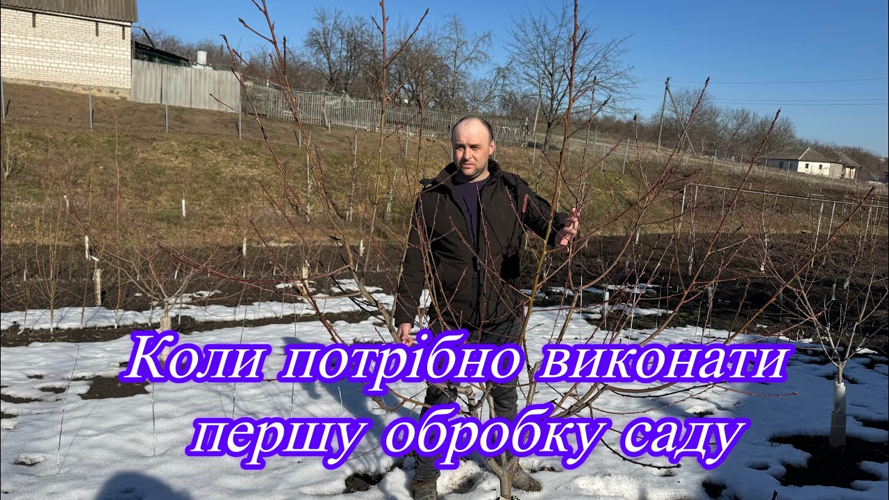 Коли ж потрібно  виконати першу обробку саду?
