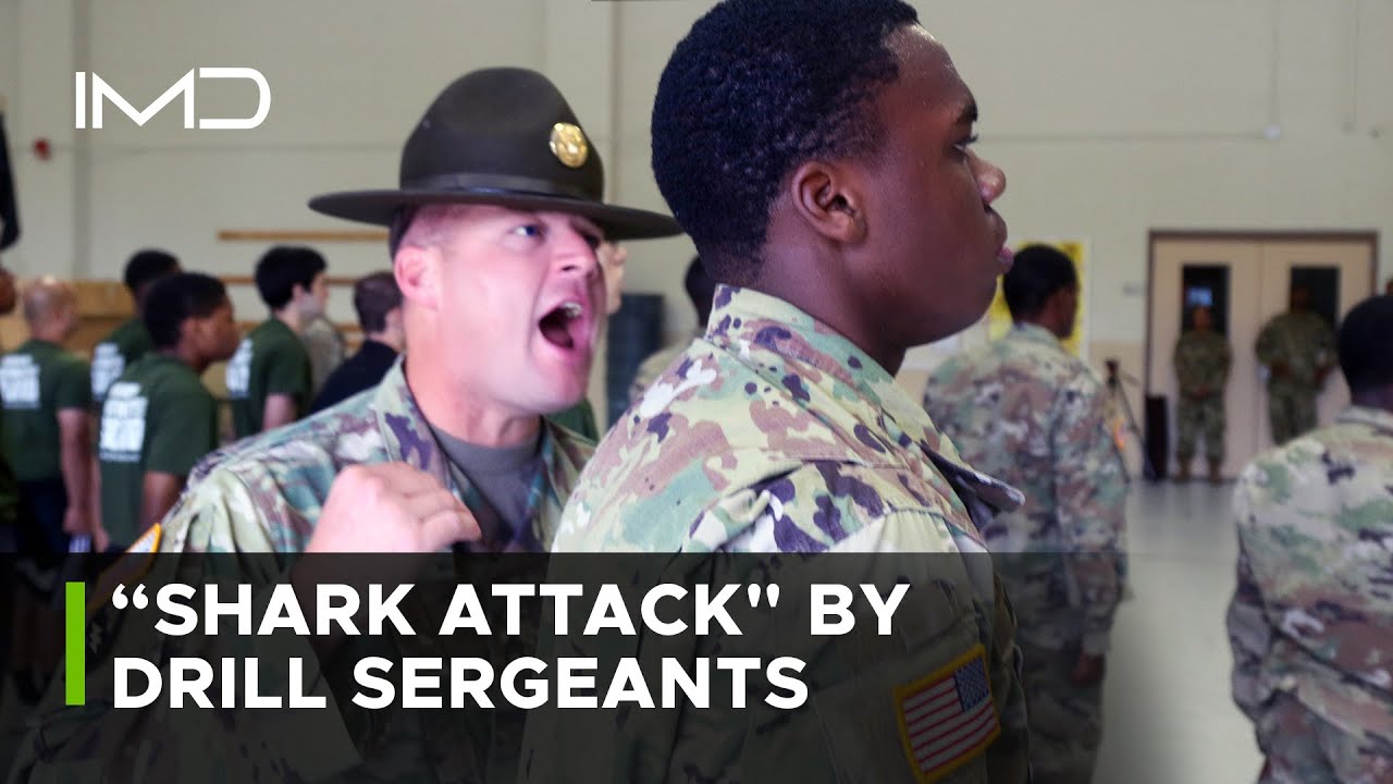 Army National Guard Recruits Face Intense Drill Sergeant Showdown Before Basic Training!