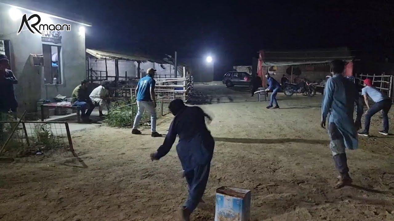 Night Tap Ball Match At Cattle Farm 🏏 | Who Will Win? | AR Maani