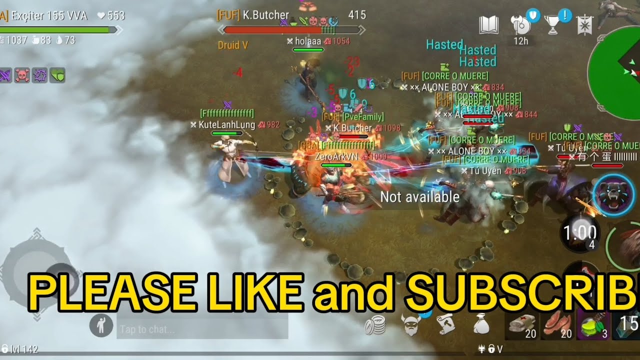 PVP Frostborn - Druid will REPLACE protector ???