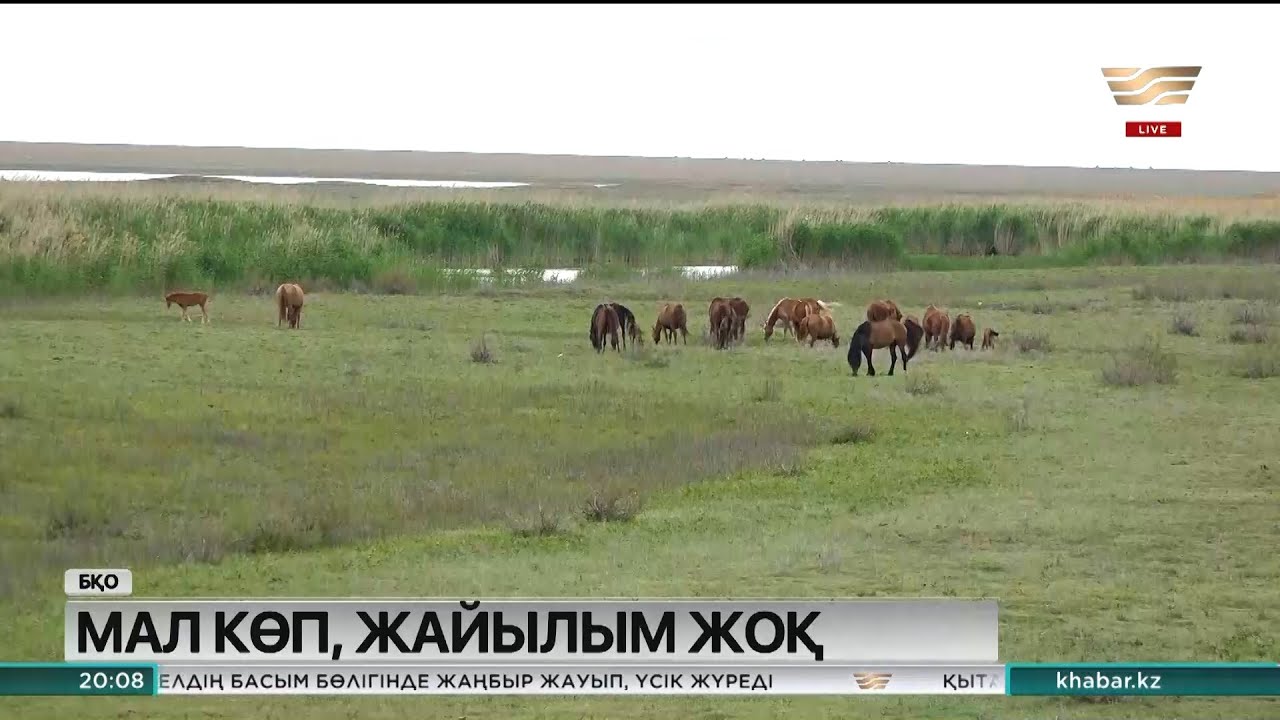 БҚО-дағы Жаңақала ауданында жер дауы ушығып тұр