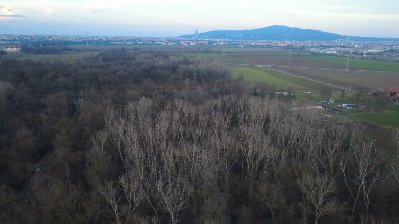 Dronata drone Stupinigi parco Torino Nichelino part 6