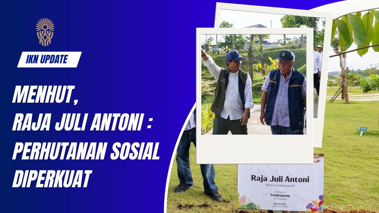 IKN Jadi Forest City? Lihat Sendiri Perubahan Nyatanya!