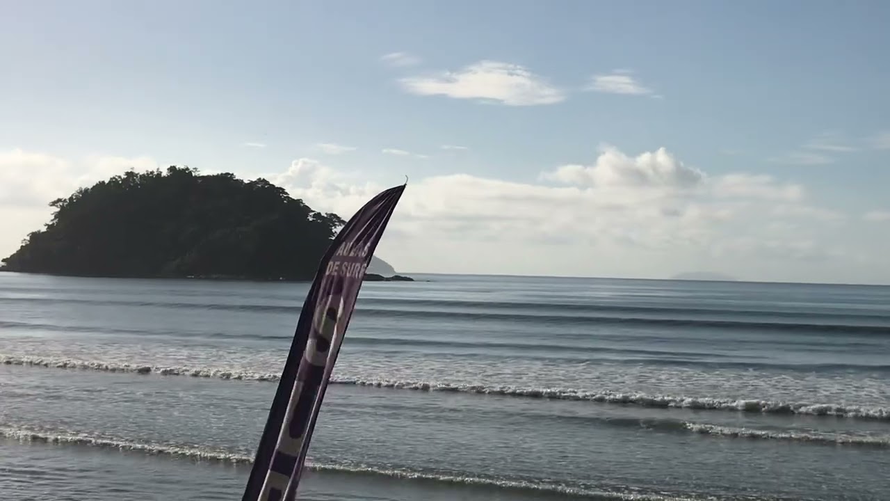 SURF REPORTER #047 de 15 de fevereiro de 2026