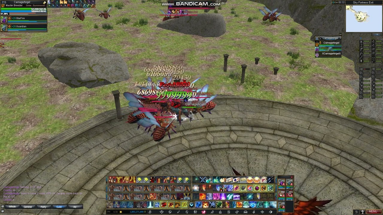 Rappelz CarnageAngel MB Sky solo (insects)