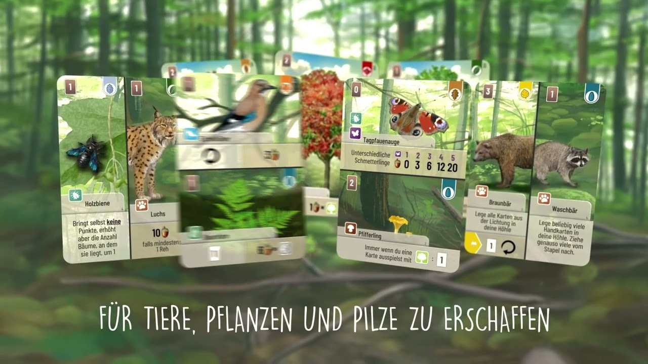 Mischwald - Trailer