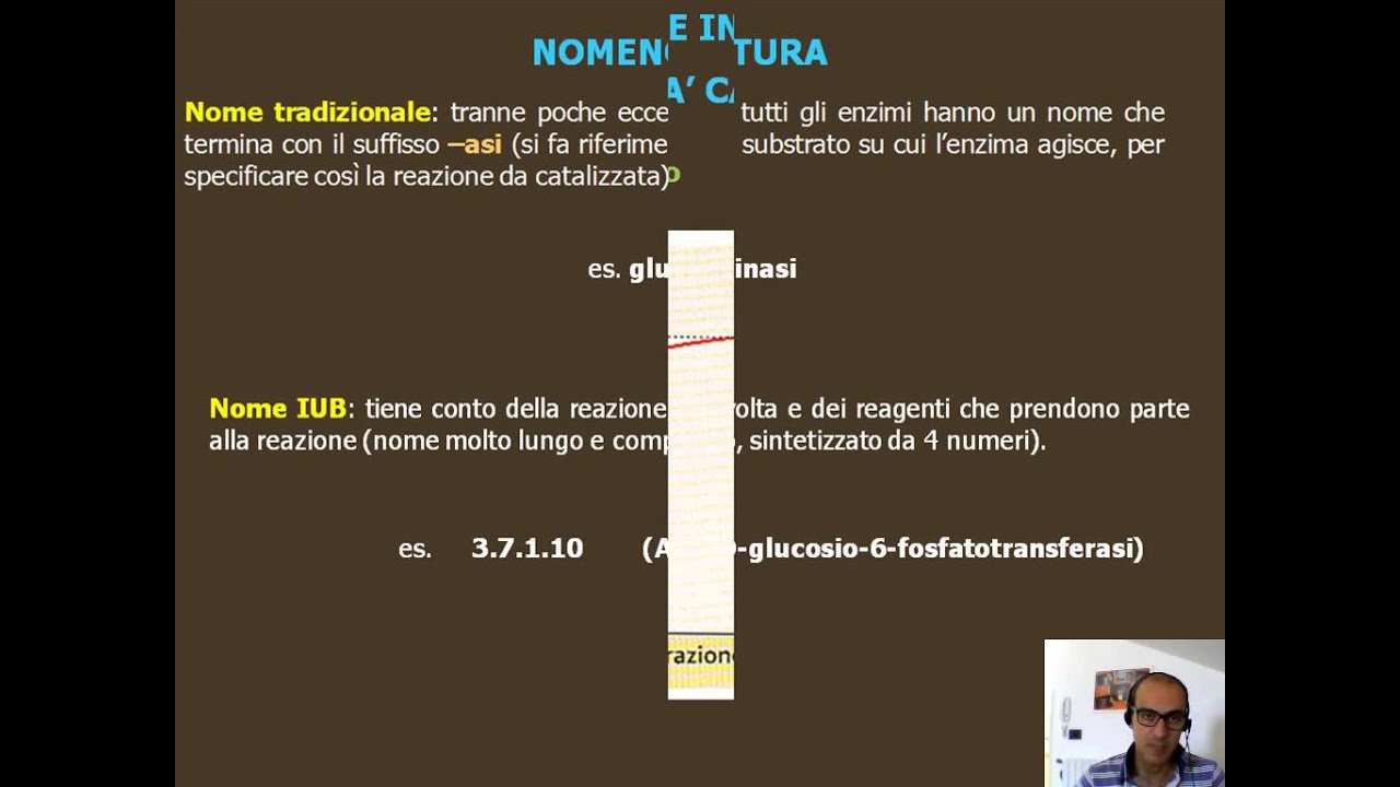 Gli enzimi parte II HD