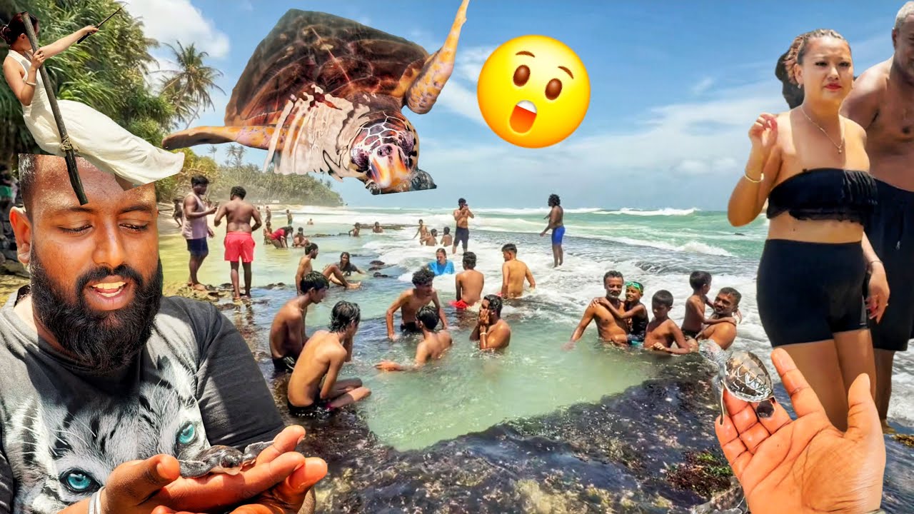 கொள்ளை அழகு இலங்கை!😍 Van Life Tamil Vlogs | Alasteen Rock | Galle | Day 53