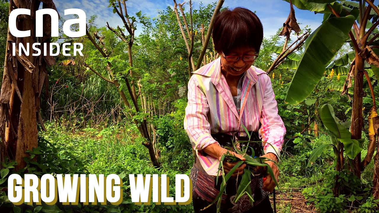 Meet Singapore's Urban Farmers | Growing Wild - Part 1/3 | Full Episode