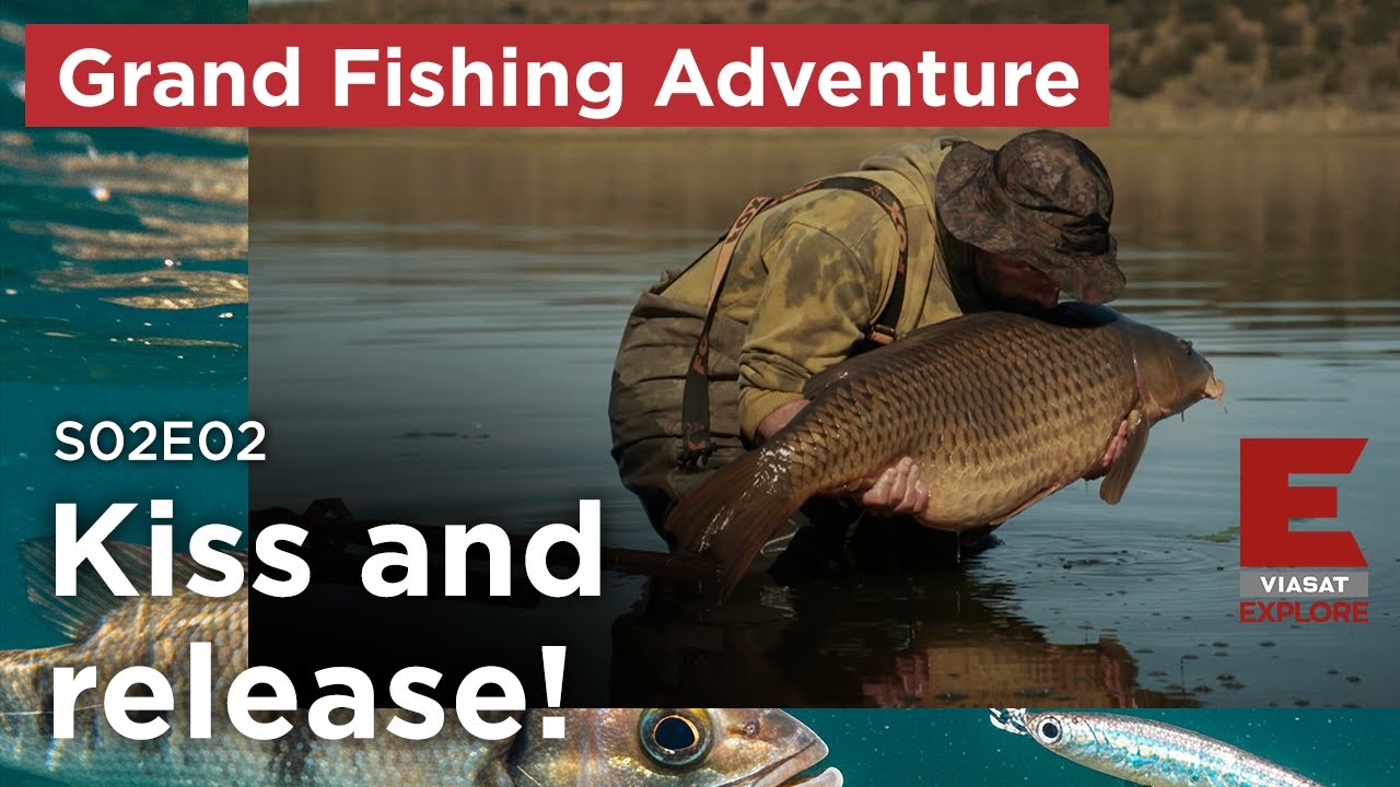 The Grand Fishing Adventure - S02E02