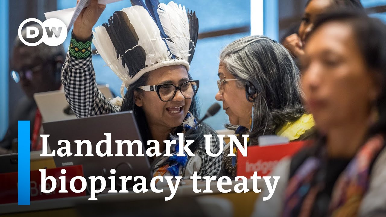 What is biopiracy? And how a new UN treaty tries to get rid of it | DW News