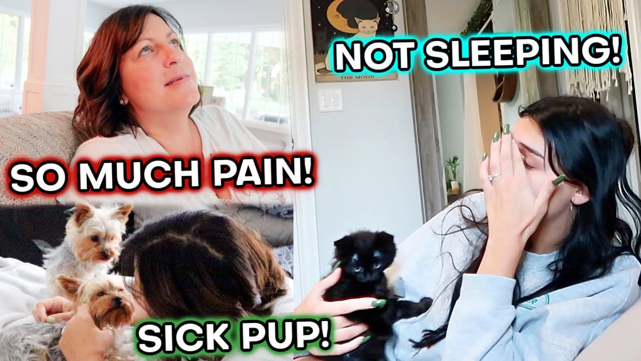 WORST PAIN EVER! KARLI CAN'T SLEEP! SICK DOG!