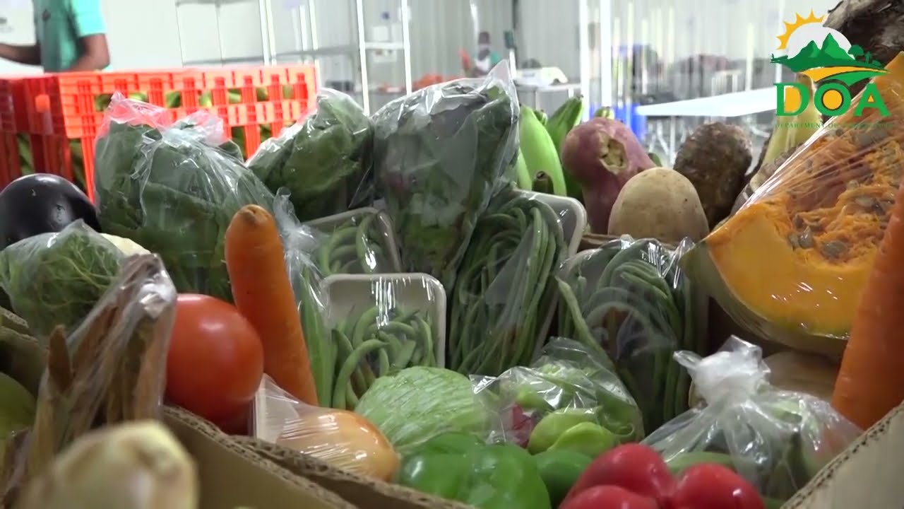 Ministry of Agriculture promotes the development of Agri-Enterprises