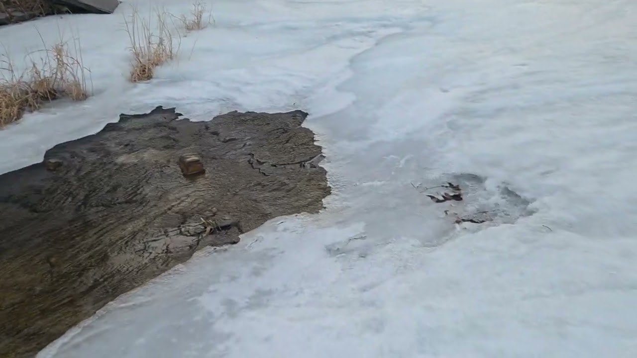 봄이 오는 소리😆