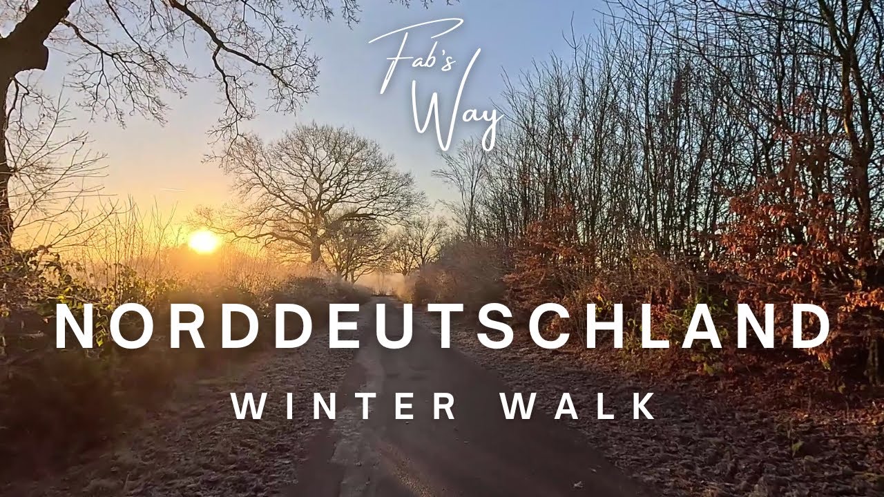 4K Sunrise Walk | Wintermorgen in Norddeutschland | Winter Morning in Northern Germany