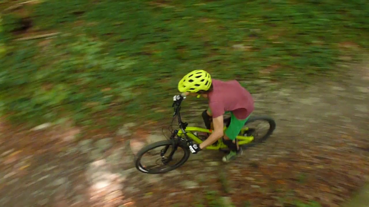 In to the Streambed - Downhill, Freeride, MTB, Enduro, Göttingen/ göttinger Wald