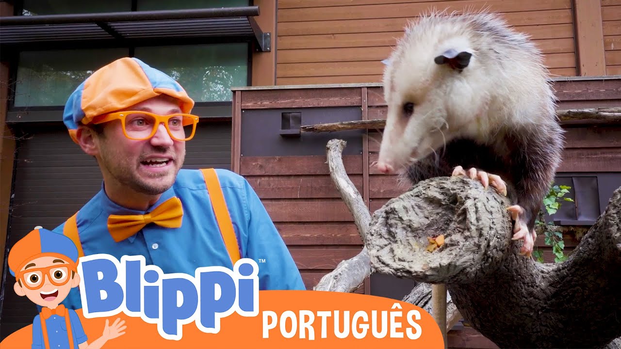 Blippi Explora a Vida Selvagem | +Vídeos Educativos para Crianças | As Aventuras de Blippi