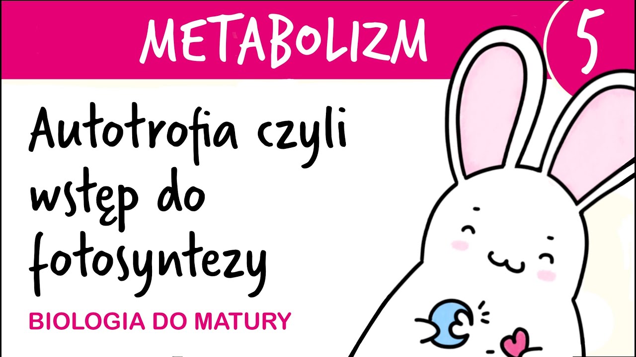 Metabolizm 5 - Autotrofia, czyli wstęp do fotosyntezy - biologia do matury liceum poziom rozszerzony