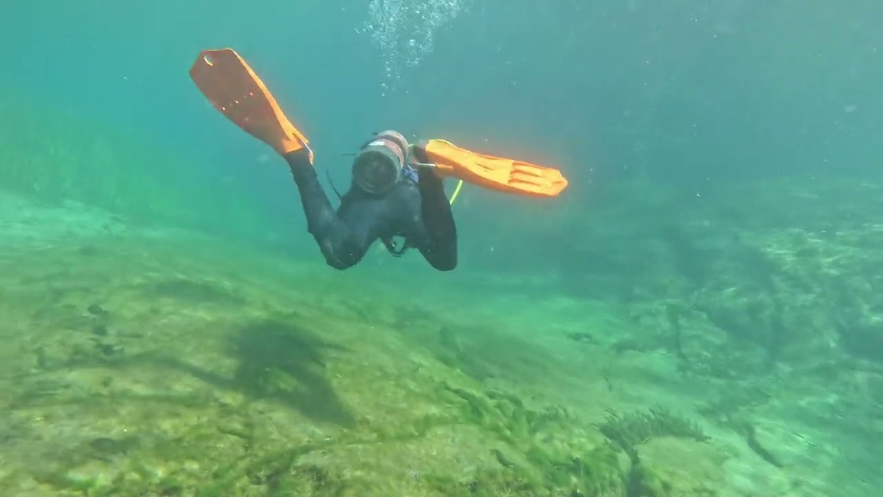 Rainbow River Drift Dive 
